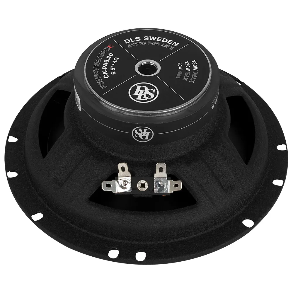DLS PA6.20